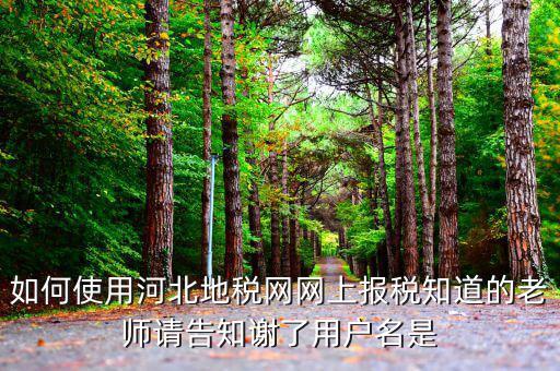 河北省地稅登陸的用戶名是什么意思，在網上報稅登陸時用戶名是什么