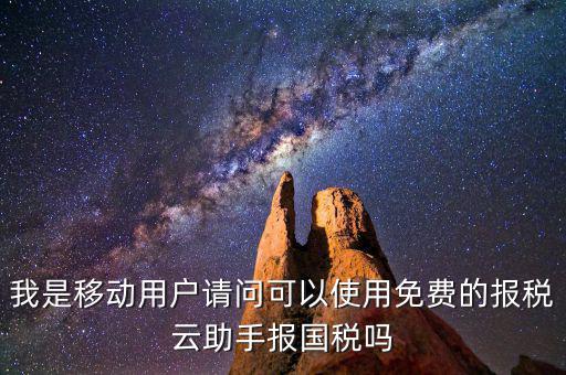 國稅網頁叫什么云，哪個網站可以下載報稅云助手
