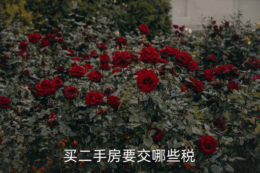買二手公建房交什么稅，買二手房要交哪些稅