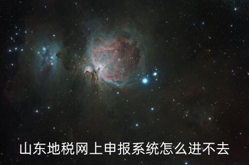 山東地稅網上申報系統怎么進不去