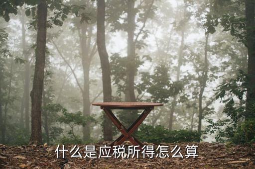 應稅所得是什么，什么是應稅所得怎么算