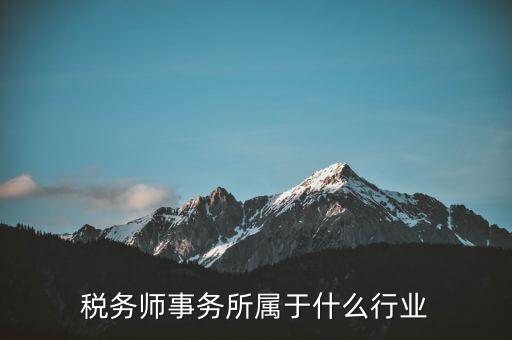 稅務師事務所屬于什么行業
