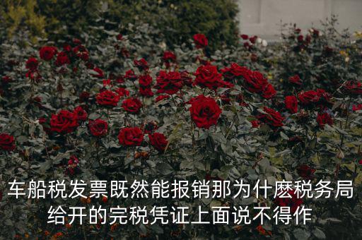 車船稅發票既然能報銷那為什麼稅務局給開的完稅憑證上面說不得作