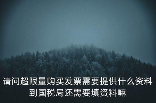 請問超限量購買發票需要提供什么資料到國稅局還需要填資料嘛