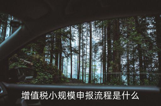 增值稅小規模申報流程是什么