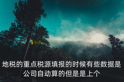 地稅的重點稅源填報的時候有些數據是公司自動算的但是是上個