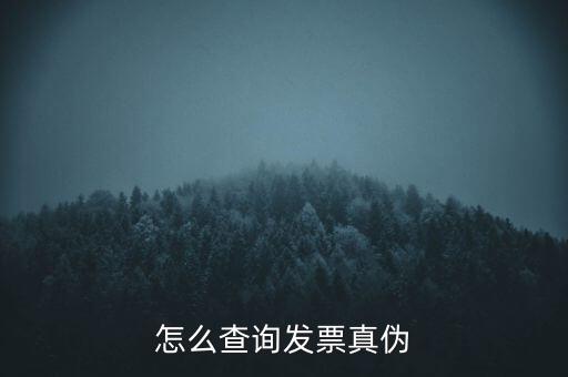 怎么查詢發票真偽
