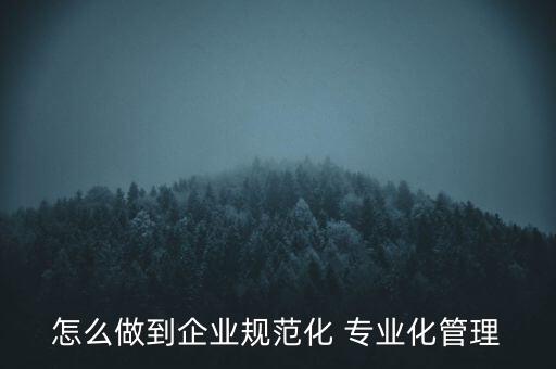 專業化公司如何管理，專業化企業的建議