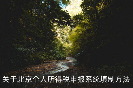 關于北京個人所得稅申報系統填制方法