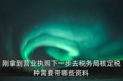 剛拿到營業執照下一步去稅務局核定稅種需要帶哪些資料