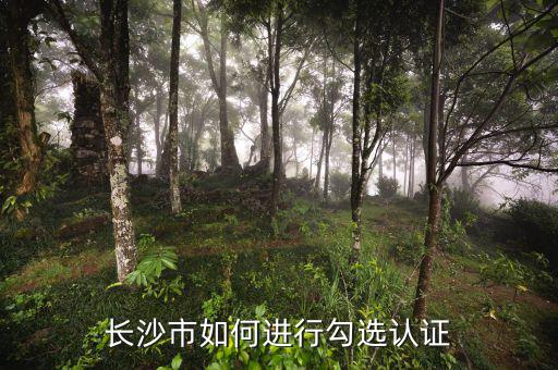 如何進行網上勾選，對方開出增值稅專用發票多長時間可以進行網上勾選認證