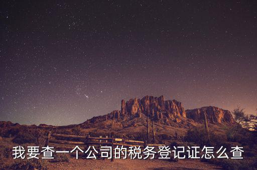 股東如何查詢企業稅務，我要查一個公司的稅務登記證怎么查