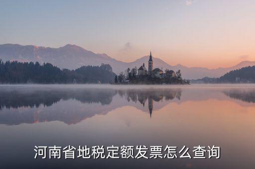 河南省地稅定額發票怎么查詢