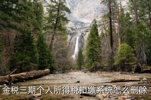 金稅三期個人所得稅扣繳系統怎么刪除