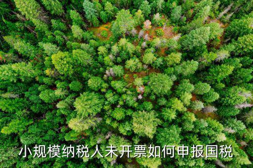 不征稅發票 如何申報，零星的銷售對方不要發票怎么報稅