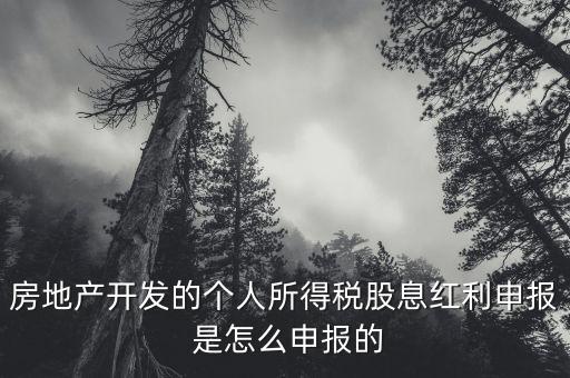 房地產開發的個人所得稅股息紅利申報 是怎么申報的