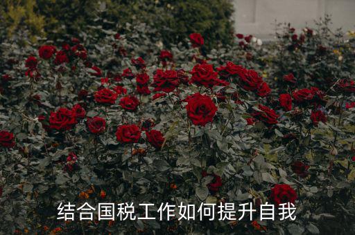 結合國稅工作如何提升自我