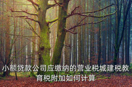 小額貸款公司如何繳稅，小額貸款公司的營業稅怎么算 sitewenwensosocom