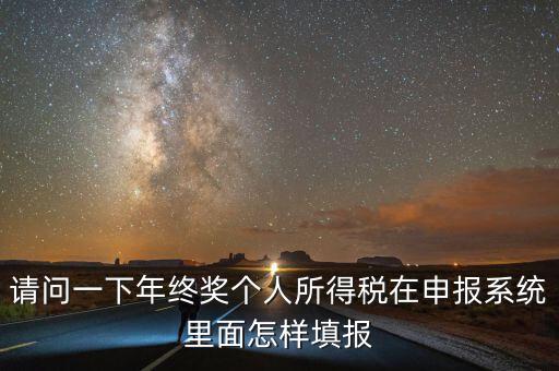 請問一下年終獎個人所得稅在申報系統里面怎樣填報
