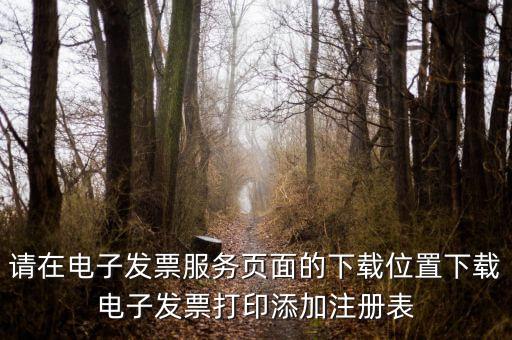 請在電子發票服務頁面的下載位置下載電子發票打印添加注冊表