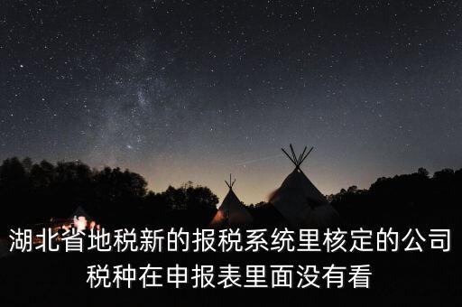 湖北省地稅新的報稅系統里核定的公司稅種在申報表里面沒有看