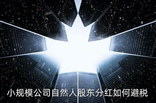 個人股東分紅如何避稅，小規模公司自然人股東分紅如何避稅