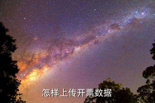 如何上傳進(jìn)項發(fā)票明細(xì)，怎樣上傳開票數(shù)據(jù)