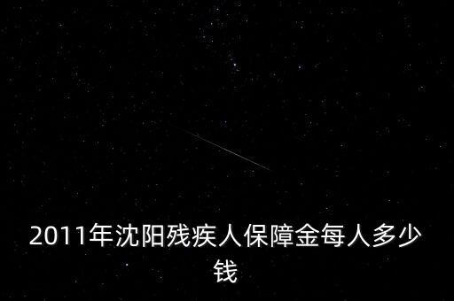 沈陽市殘疾人保障金如何計算，2011年沈陽殘疾人保障金每人多少錢