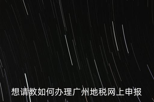 廣州地稅如何網上申報系統，地稅網上申報如何操作