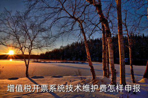 增值稅開票系統技術維護費怎樣申報