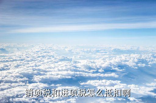 進項稅和銷項稅如何抵扣，公司的進項稅和銷項稅如何抵扣會計科目如何做