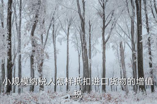 小規模如何抵扣進項，小規模增值稅怎么抵扣