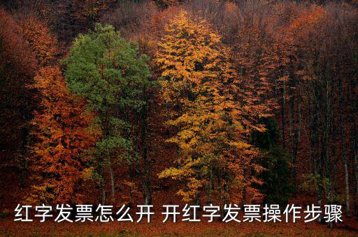 紅字發票怎么開 開紅字發票操作步驟