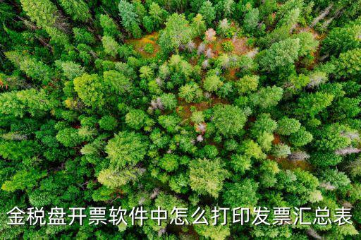 金稅盤開票軟件中怎么打印發票匯總表