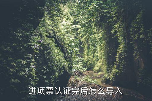 抵扣票如何認證系統下載，增值稅發票怎樣自己認證需要下載什么軟件什么步驟呢