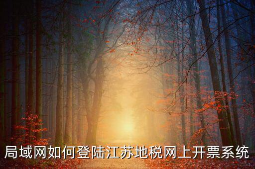局域網如何登陸江蘇地稅網上開票系統