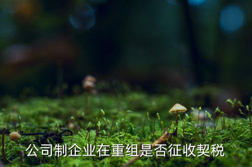 企業改制契稅減免如何辦理，公司制企業在重組是否征收契稅