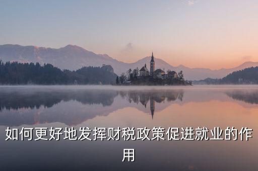 如何更好地發揮財稅政策促進就業的作用
