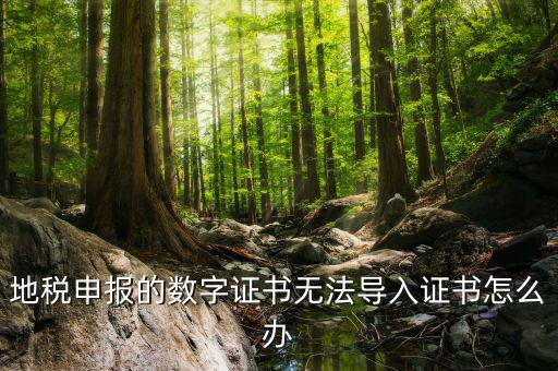 地稅申報的數字證書無法導入證書怎么辦