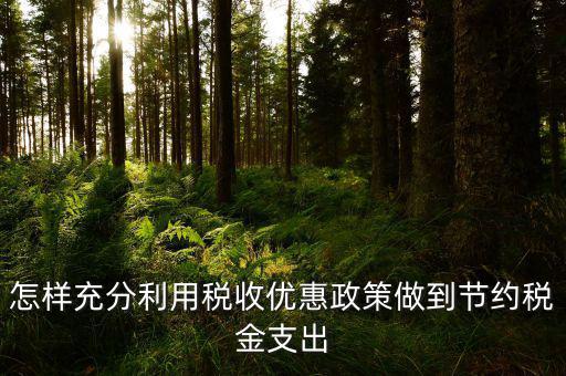 怎樣充分利用稅收優惠政策做到節約稅金支出