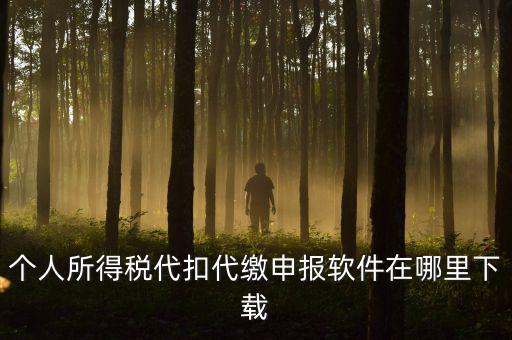代扣代繳國稅如何申報系統下載，國稅增值稅小規模稅務電子申報軟件在哪里下載呢