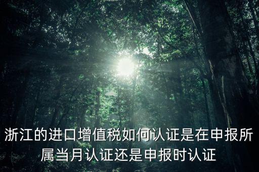 浙江國稅進(jìn)口發(fā)票如何認(rèn)證，浙江的進(jìn)口增值稅如何認(rèn)證是在申報所屬當(dāng)月認(rèn)證還是申報時認(rèn)證