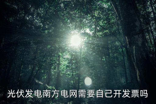 光伏發電南方電網需要自己開發票嗎