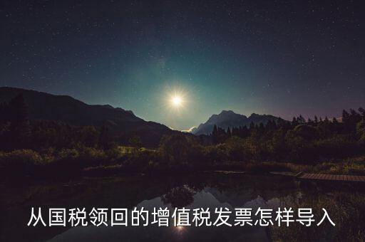 發票如何導入，從國稅領回的增值稅發票怎樣導入