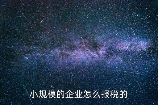 小規模的企業怎么報稅的