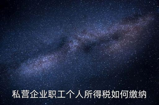 公司如何交個人所得稅，公司給員工發工資應該怎么繳納個稅啊比如