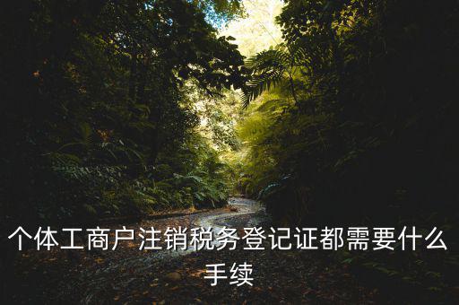 臨時稅務登記證如何注銷，稅務證怎樣去注銷需要甚么程序