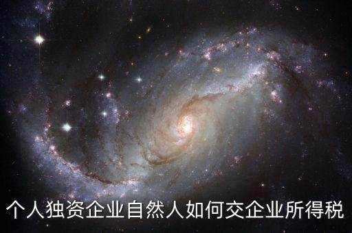 自然人獨資如何交稅，個人獨資企業自然人如何交企業所得稅