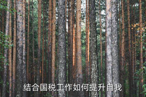 國稅工作總結如何出彩，2015年國稅貨勞科工作總結