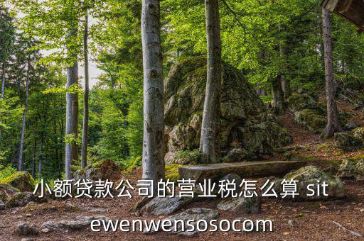 小額貸款公司的營業稅怎么算 sitewenwensosocom